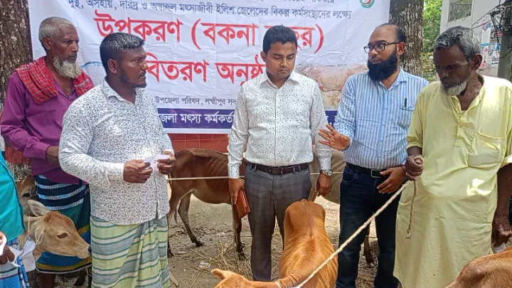 লক্ষ্মীপুরে,  জেলেদের,  রোগাক্রান্ত,  বকনা বাছুর,  বিতরণের অভিযোগ