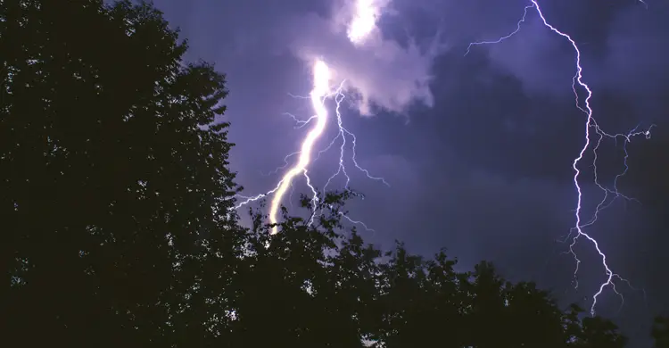 মাছ ধরতে গিয়ে বজ্রপাতে দিনমজুরের মৃত্যু