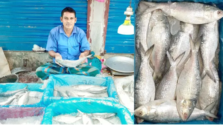 ফুলবাড়ীতে বেড়েছে ইলিশের সরবরাহ, কমেছে দাম