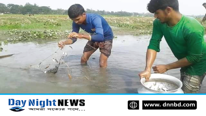 অবৈধ কারেন্ট জালের ব্যবহার ও উৎপাদন বন্ধ করা জরুরী