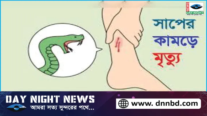 নোয়াখালীতে,  সাপের কামড়ে,  শিশুর মৃত্যু