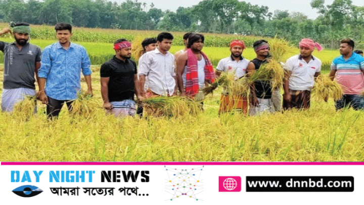 রাজবাড়ীতে কৃষকদের ধান কেটে দিলেন রাজবাড়ী ছাত্রলীগ