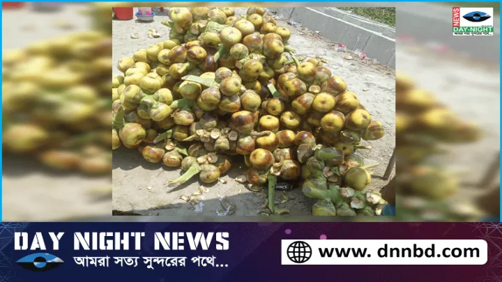 কমলনগরে তালের শাঁসের রমরমা ব্যবসা