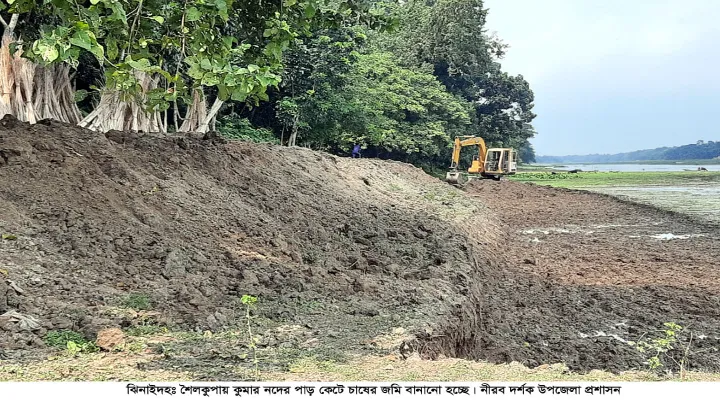 শৈলকুপায় কুমার নদের পাড় কেটে চাষের জমি তৈরীর অভিযোগ