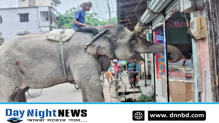 মাহুতের ইঙ্গিতে হাতির চাঁদাবাজি