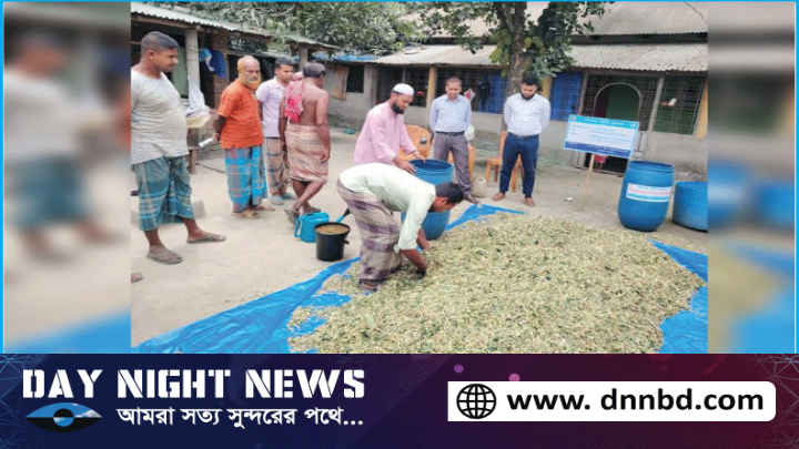 ফুলবাড়ীতে গবাদিপশুর খাদ্য খরচ হ্রাসকরণ সাইলেজ প্রযুক্তি প্রদর্শন