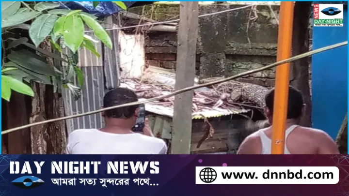 হাতিয়াতে গুইসাপ ভাসছিল পুকুরে, কুমির গুজবে তোলপাড়