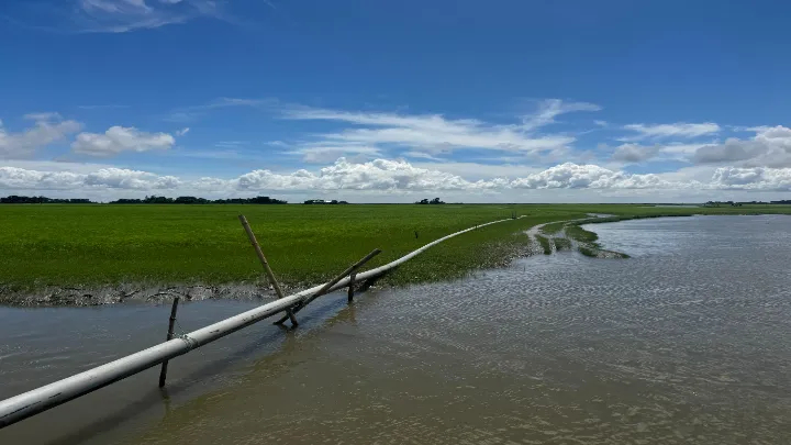 লক্ষ্মীপুরে মেঘনা নদী থেকে অবৈধ বালু উত্তোলন, প্রশাসনের অভিযান