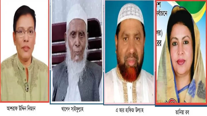 বিএনপির দুর্গে ভাগ বসাতে চায় হাতপাখা ও দাঁড়িপাল্লা