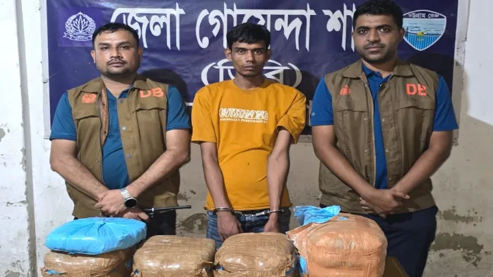 নোয়াখালীতে সিএনজিতে ১১ কেজি গাঁজা, গ্রেপ্তার ১