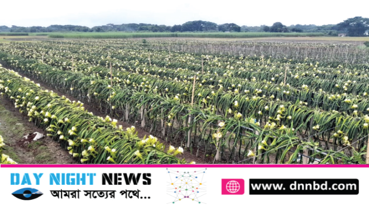 ড্রাগনের নিঃশ্বাসে অর্থনৈতিক স্বস্তি ঝিনাইদহে সাড়ে তিন’শ কোটি টাকার বাজার