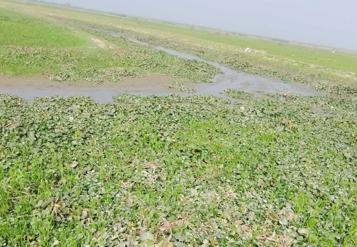 নবীনগরে বাইখালী খাল ভরাট বিপাকে ৪০ হাজার মানুষ