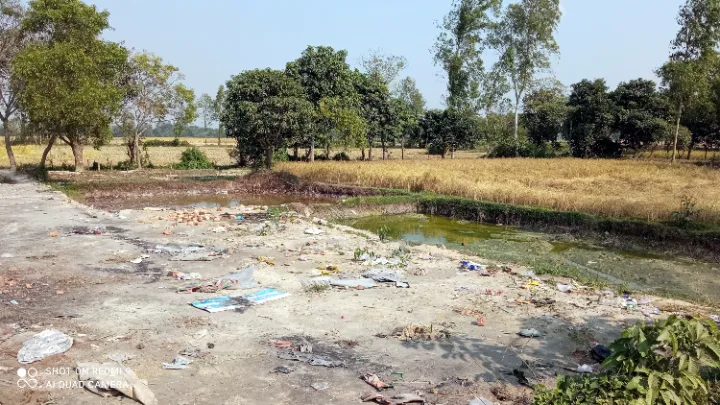 ফুলবাড়ীতে সিসা বিষক্রিয়ায় গরু মৃত্যুর ঘটনায় গরু বিক্রির হিড়িক, থামছে না গরুর মৃত্যু ও আক্রান্তে