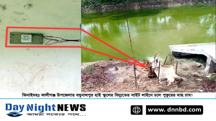 ঝিনাইদহে স্কুলের বিদ্যুৎতে চলে পুকুরের মাছ চাষ!