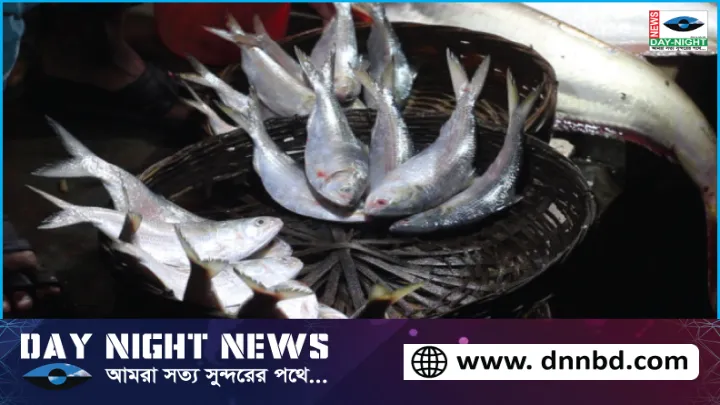 আজ মধ্যরাত থেকে ইলিশ ধরায় ২২ দিনের নিষেধাজ্ঞা শুরু