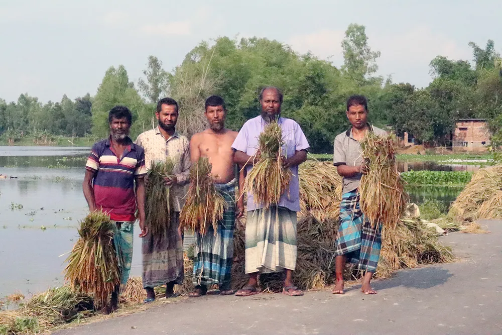 ফুলবাড়ীতে,  অপরিকল্পিত,  ক্যানেলের,  ফাঁদে কৃষকরা
