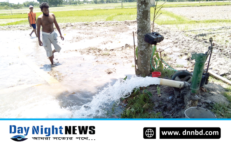 ফুলবাড়ীতে সেচ দিয়ে আমনের জমি চাষ, দুশ্চিন্তায় কৃষক