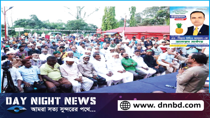 বিশ্বনাথের ‘আনারস’র জোয়ার সৃষ্টি হয়েছে -অ্যাডভোকেট গিয়াস