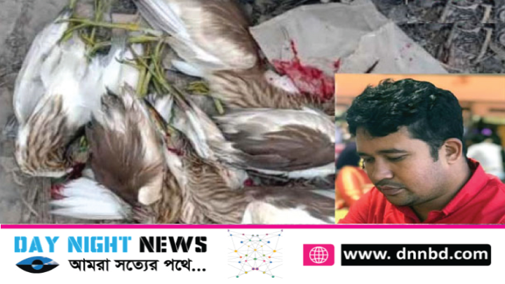 ইয়ারগান হাতে দাপিয়ে বেড়াচ্ছে সুমন, মহেশপুরে মা বক পাখিকে হত্যা অনাহারে বাচ্চা পাখির মৃত্যু