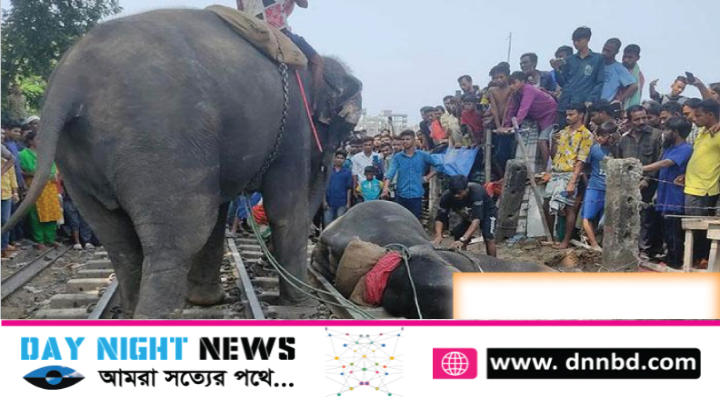 রাজধানীর উত্তরায় ট্রেনের ধাক্কায় হাতির মৃত্যু