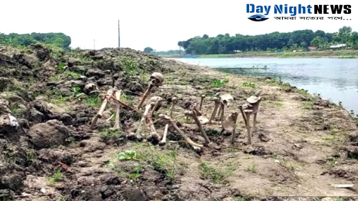 ঝিনাইদহের মহেশপুরে কলেজ বাসষ্ট্যান্ডে গনকবরের সন্ধান