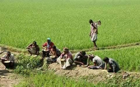 এ দৃশ্যটি আজ আর দেখা যায় না