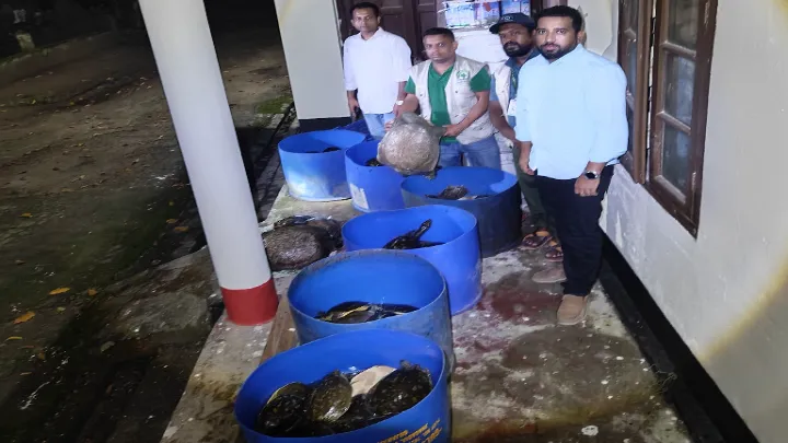 নোয়াখালীতে ৪২৫ কচ্ছপ উদ্ধার