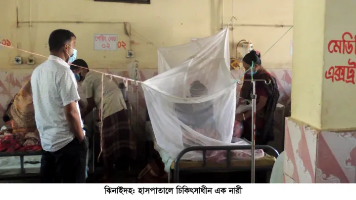 ঝিনাইদহে ডেঙ্গুতে আক্রান্ত হয়ে নারীর মৃত্যু