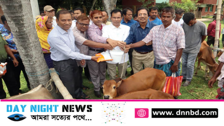 ফুলবাড়ীতে প্রাণিসম্পদ বিভাগের সুফলভোগী ক্ষুদ্র নৃ-গোষ্ঠীর মাঝে ষাঁড় বাছুর বিতরণ