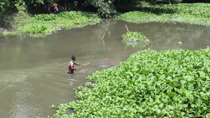 ঝিনাইদহে নিখোঁজের ৪ দিন মরদেহ উদ্ধার